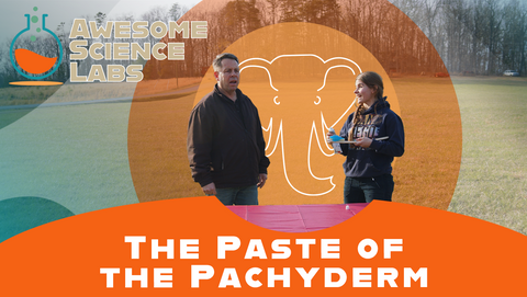 Awesome Science Labs: Paste of the Pachyderm Download