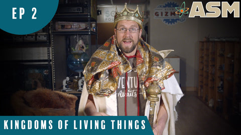 Science Foundations: Kingdoms of Living Things (102) Download