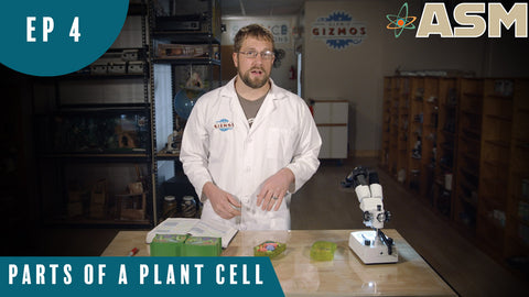 Science Foundations: Parts of a Plat Cell (104) Download