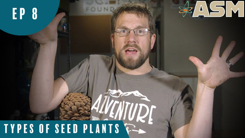 Science Foundations: Types of Seed Plants (108) Download