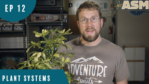 Science Foundations: Plant Systems (112) Download
