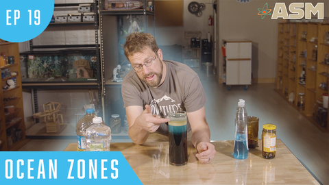 Science Foundations: Ocean Zones (119) Download