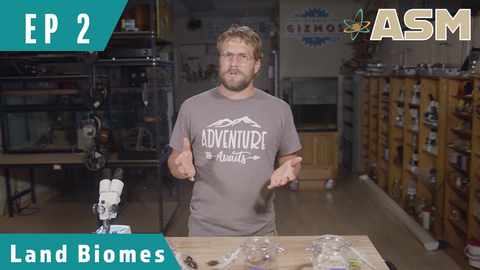 Science Foundations: Land Biomes (202) Download