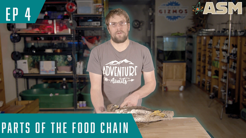 Science Foundations: Parts of the Food Chain (204) Download