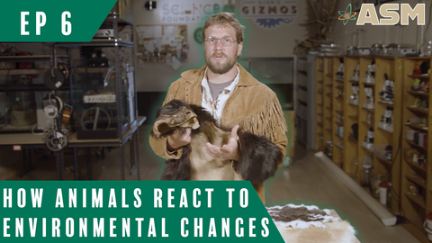 Science Foundations: How Animals React to Environmental Changes (206) Download