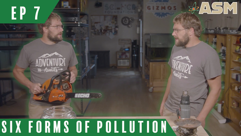 Science Foundations: Six Forms of Pollution (207) Download