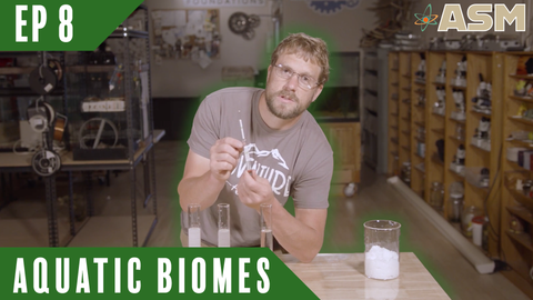 Science Foundations: Aquatic Biomes (208) Download