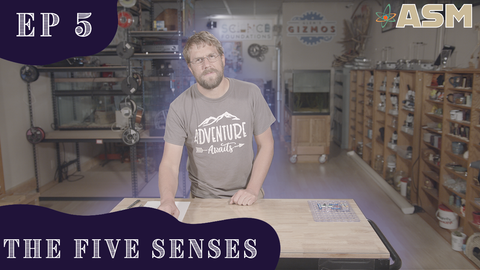 Science Foundations: The 5 Senses (305) Download