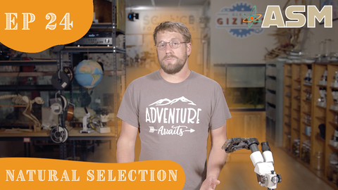 Science Foundations: Natural Selection (324) Download