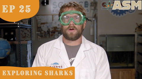 Science Foundations: Six Senses of a Shark (325) Download